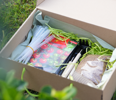 🌱 Planting Box